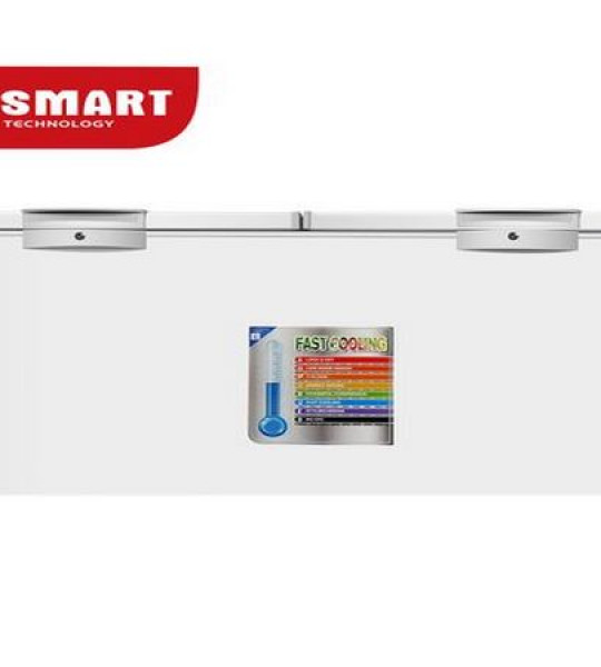 CONGELATEUR COUCHER + BAIE VITREE SMART 600L - STCC-720V - Gros électroménager